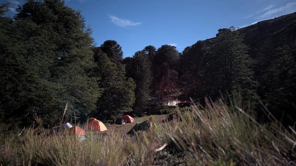 Refugio Huellas Lonquimay Apartment in Araucania, Chile