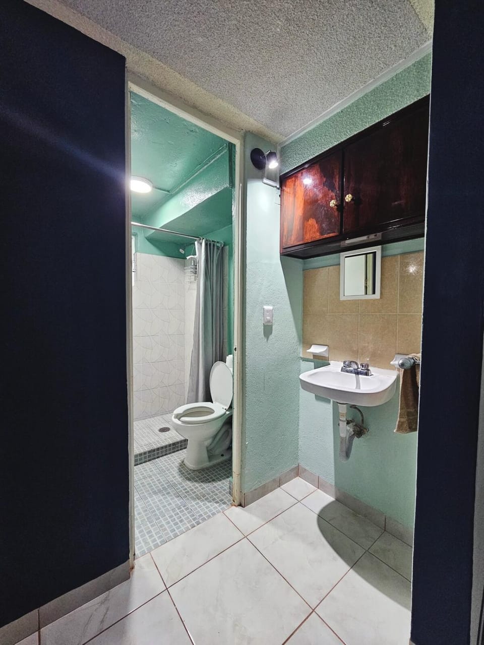 Toilet, Bathroom
