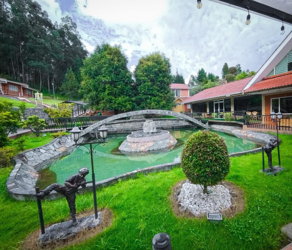 Spring, Day, Natural landscape, Garden, Garden view