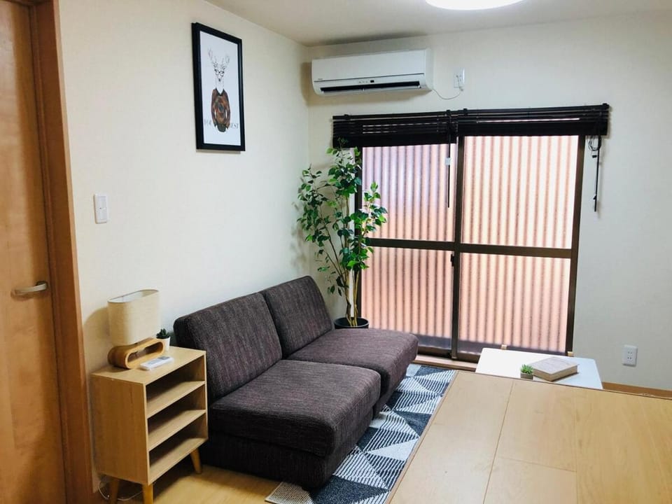 Living room, air conditioner