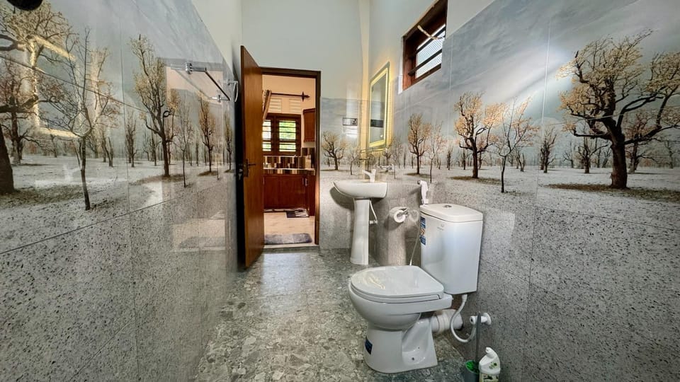 Toilet, Bathroom