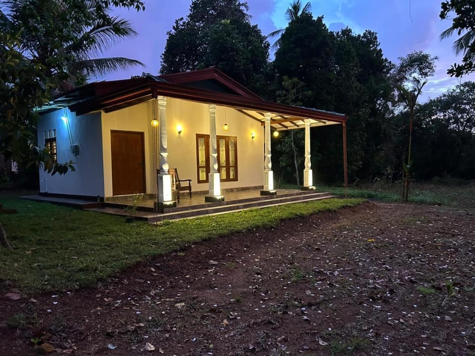 Night, Natural landscape, Garden