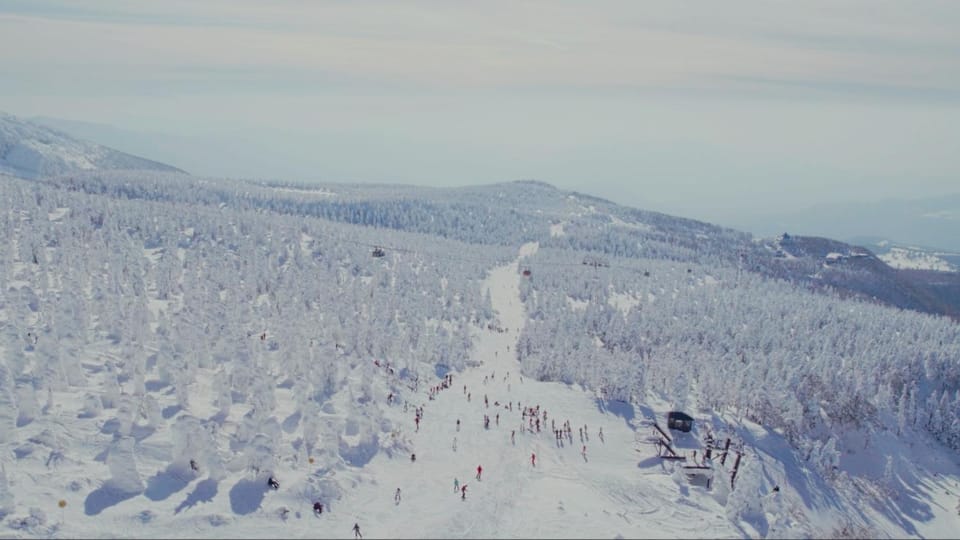 Skiing
