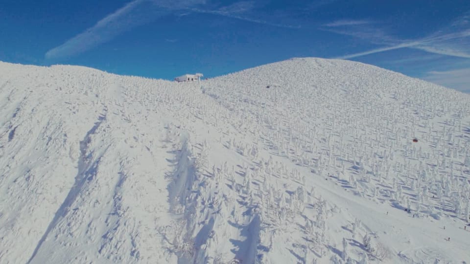 Skiing
