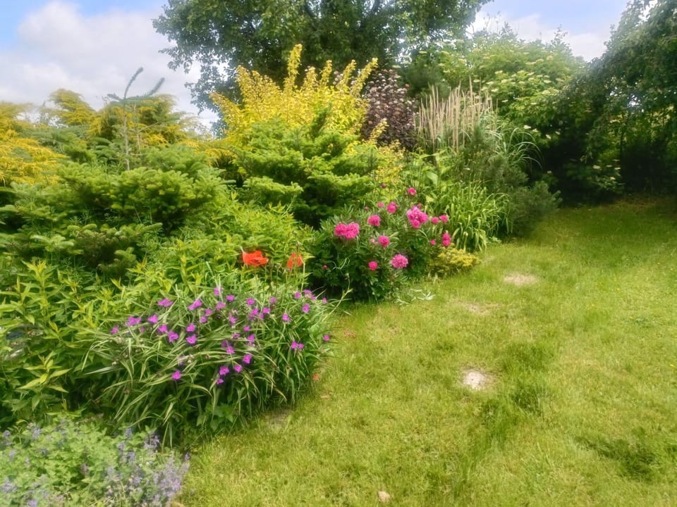 Mierki 66 Pokój Rodzinny 1 Bed and Breakfast in Poland