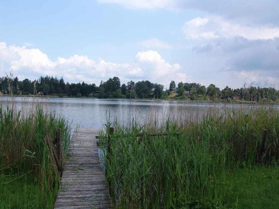 Lake view