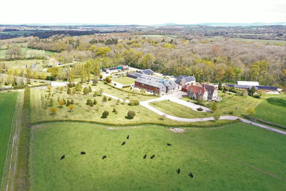 Property building, Patio, Day, Natural landscape, Bird's eye view, View (from property/room), Lake view, Swimming pool, Family, Family, Family