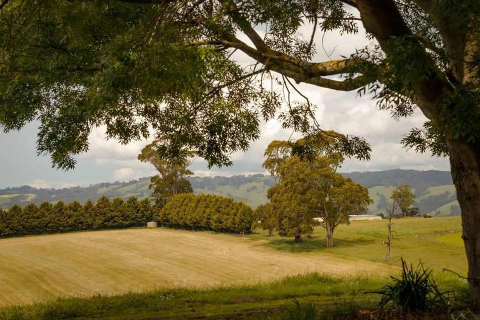 Natural landscape