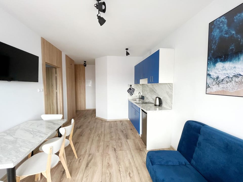 TV and multimedia, Kitchen or kitchenette, Living room, Photo of the whole room, Seating area, stove