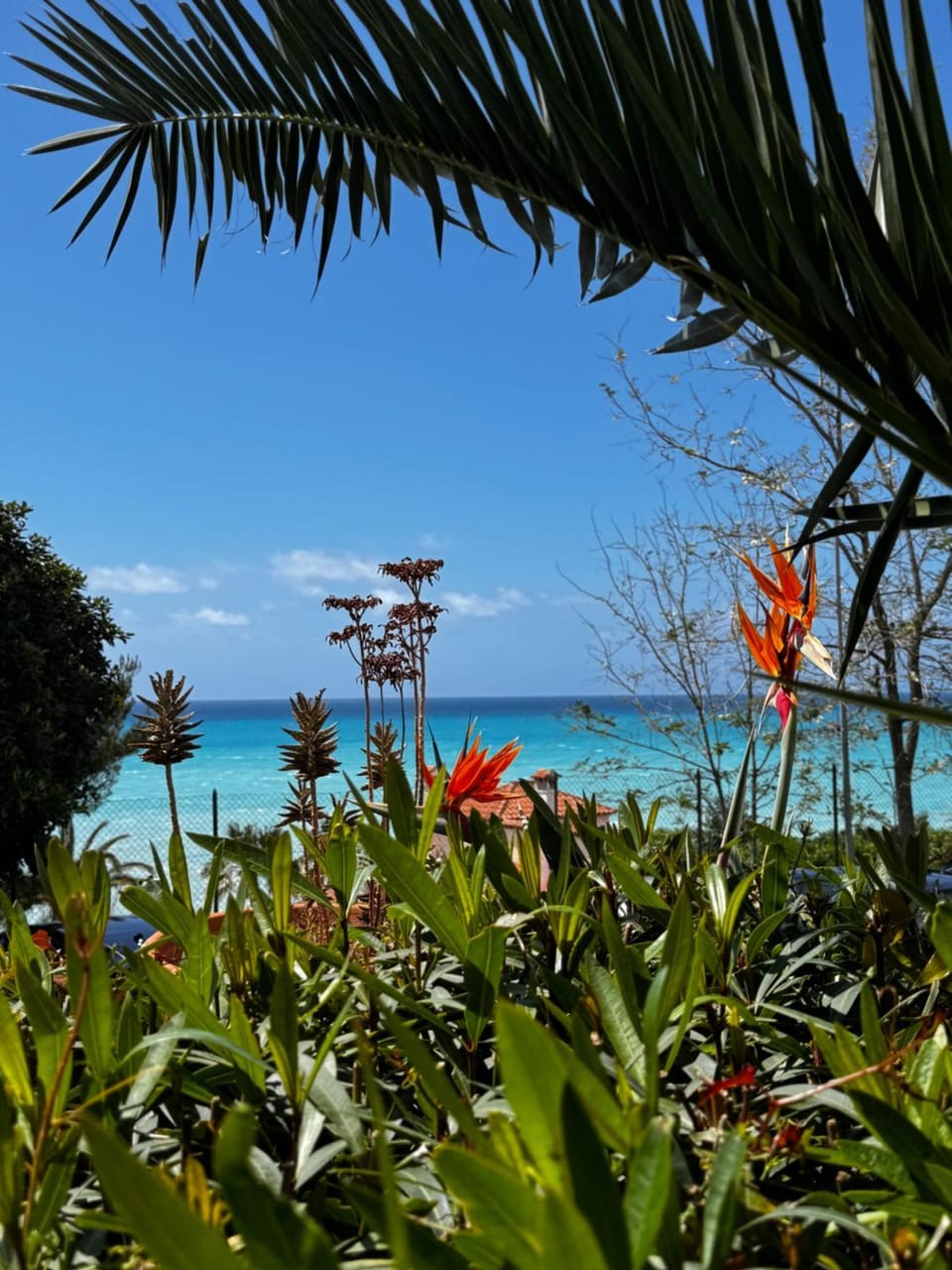 Spring, Day, Natural landscape, Garden, Beach, Sea view