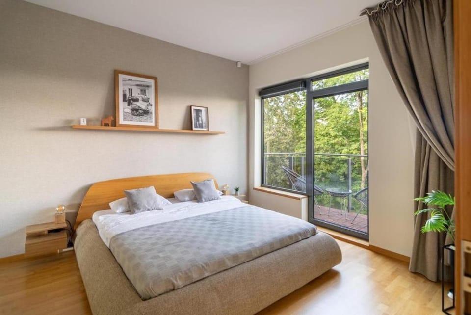 2 Bedroom Apt with Balconies Apartment in Lithuania