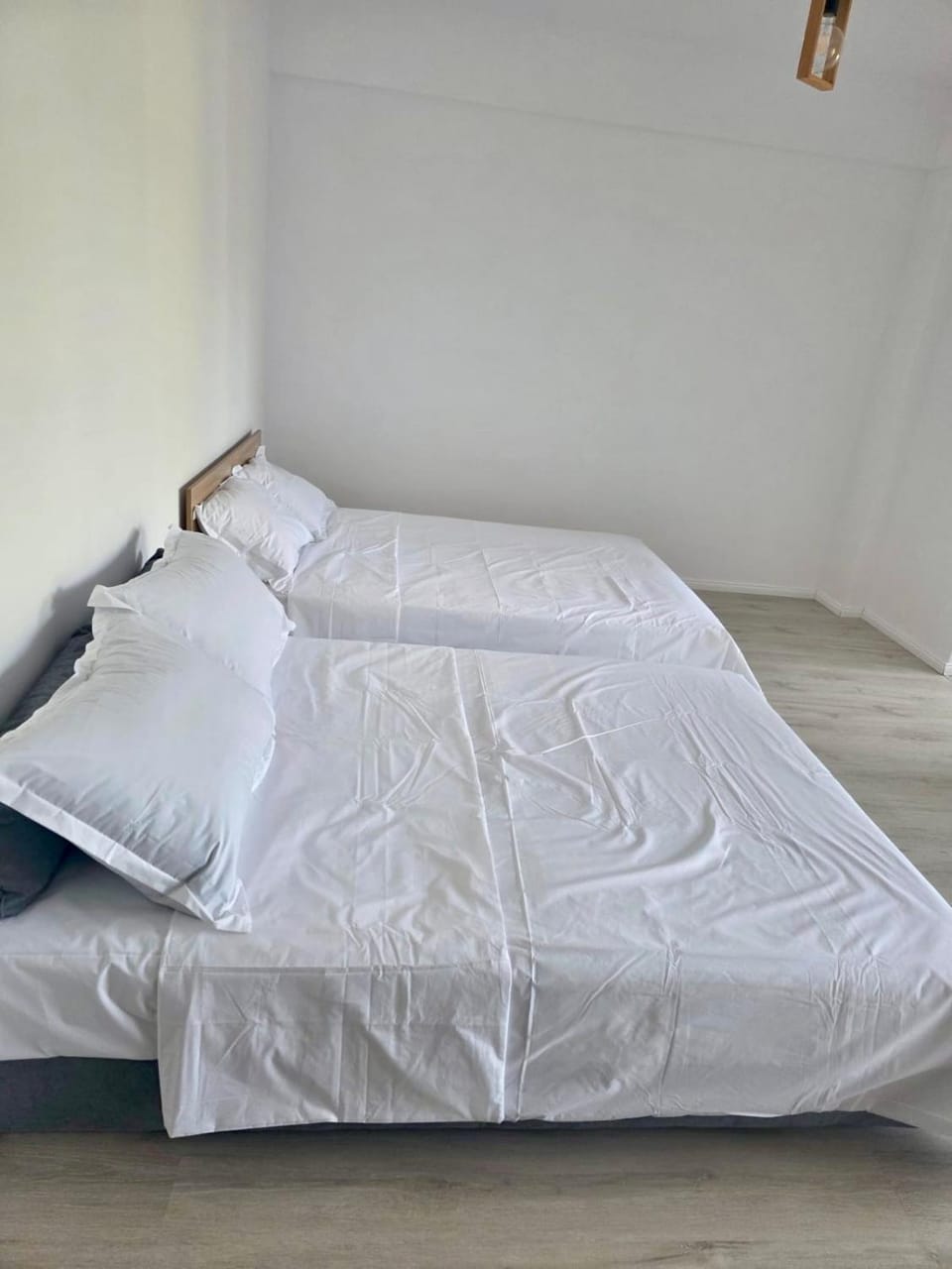 Eva Studio Apartment in Constanța County