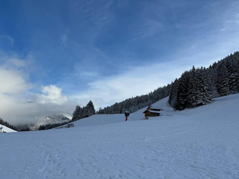 Mountain view