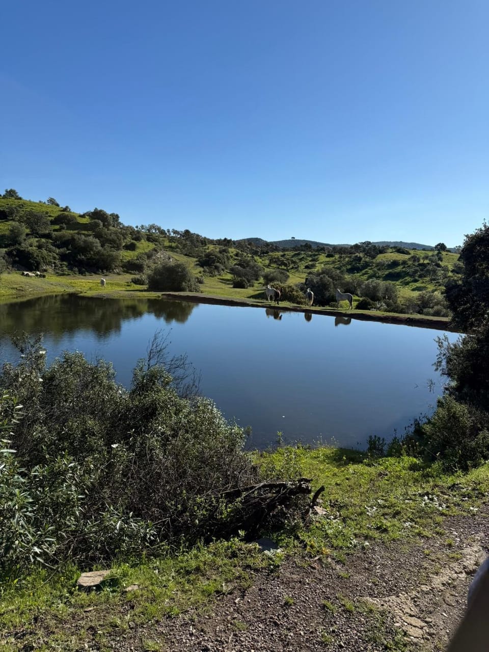 Finca Jaralta de Carmen Villa in Sierra Norte de Sevilla