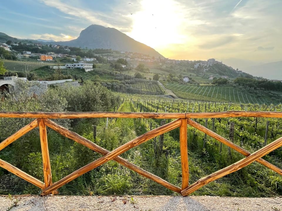 Terra Mea Farm Stay in Campania