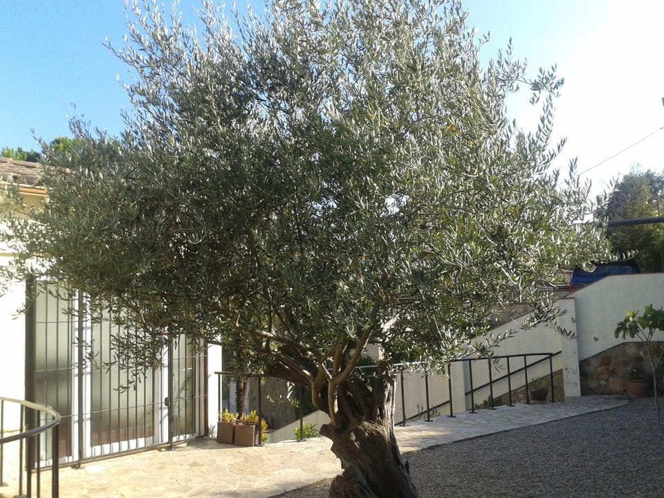 VillaPina1906 Apartment in Baix Empordà