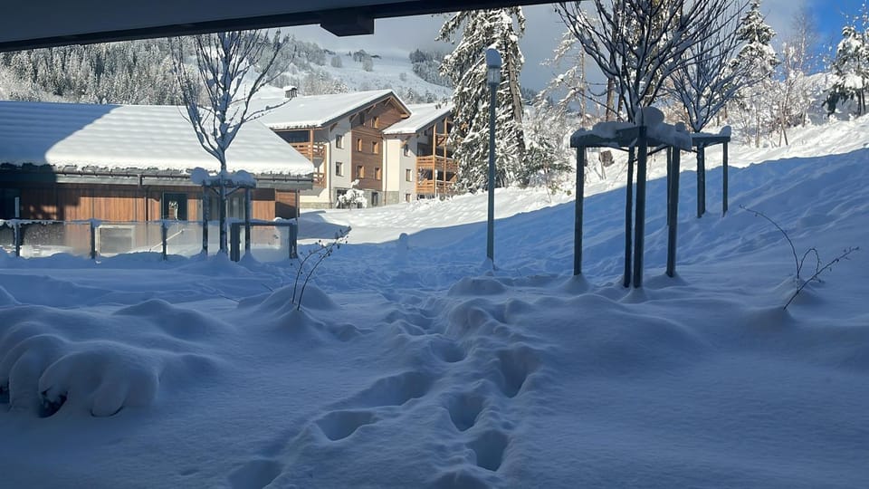 Megeve Praz sur Arly Apparthotel eclat des veriaz Studio vue sur jardin Apartment in Megève