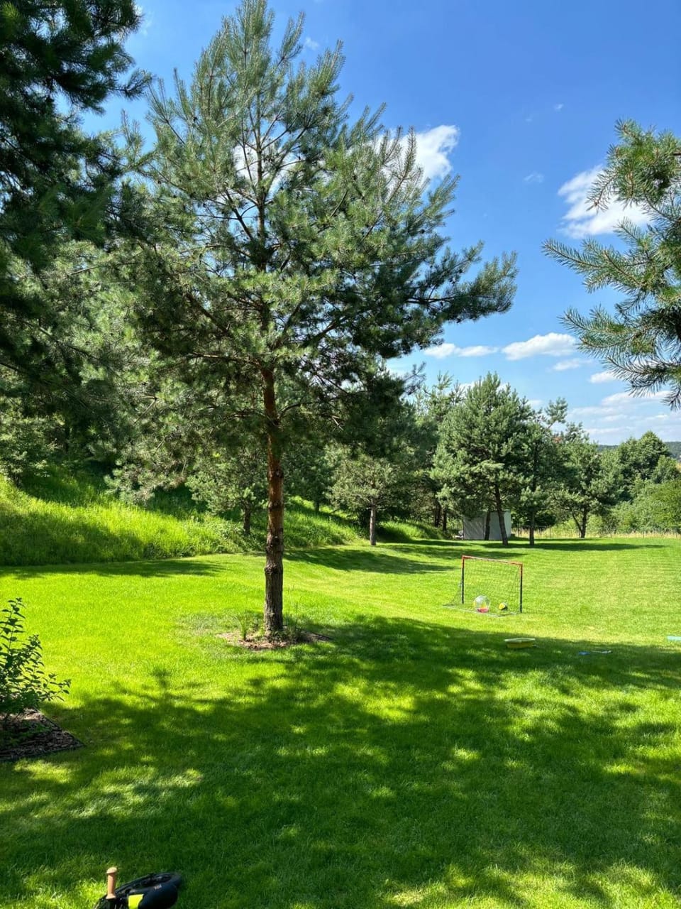 Natural landscape, Garden view