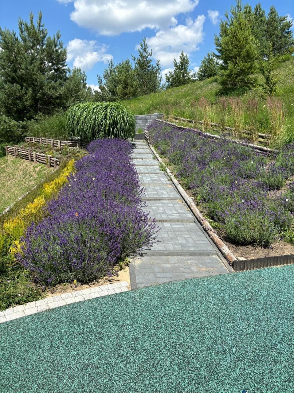 Natural landscape, Garden