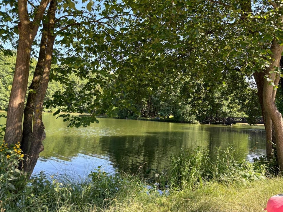 Natural landscape