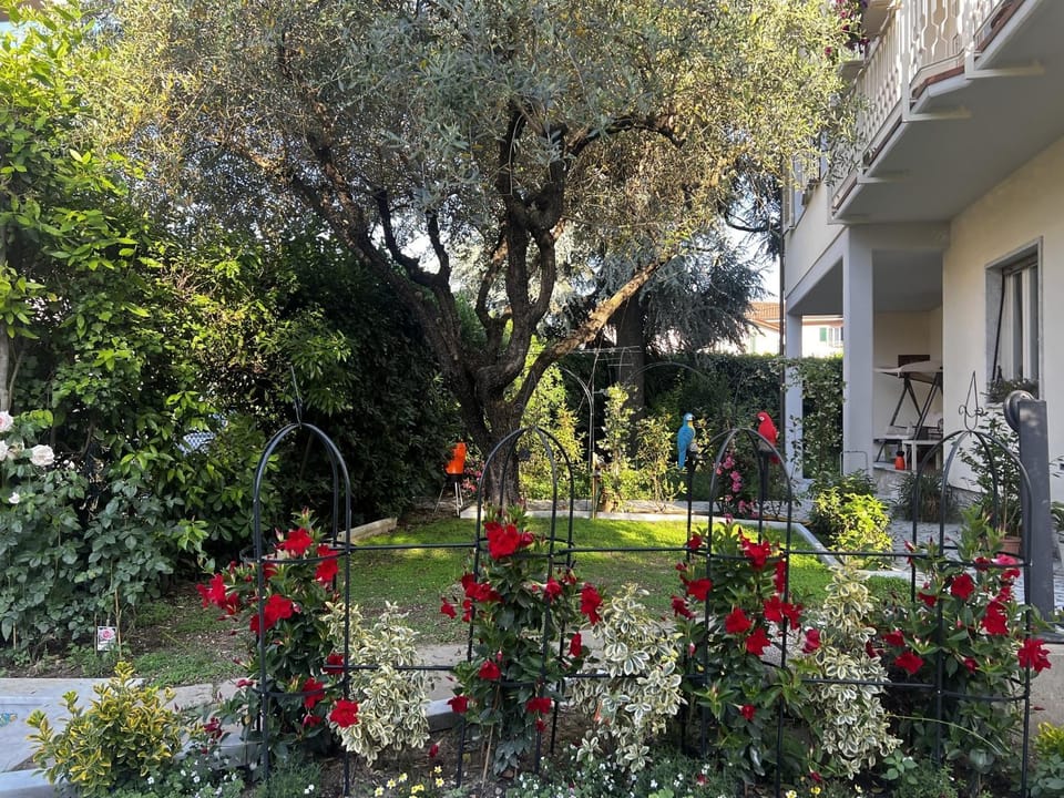 Maison TOnDO Vacation rental in Carrara