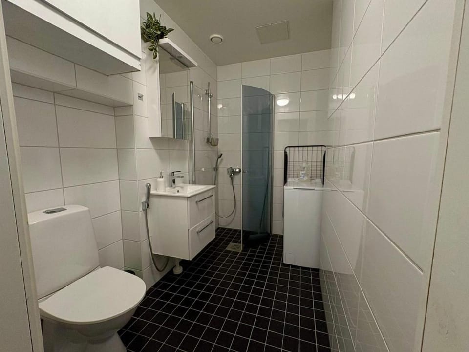 Kotimaailma Apartments - keskustaneliö - Hämeenkatu 2 Apartment in Finland