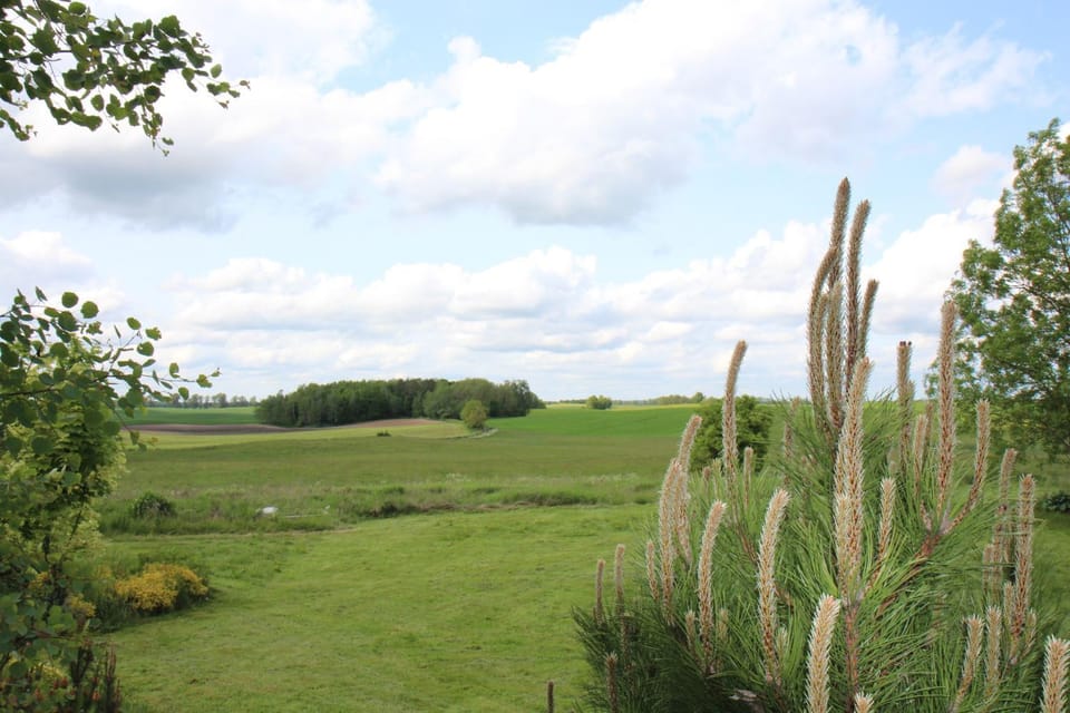 View (from property/room)