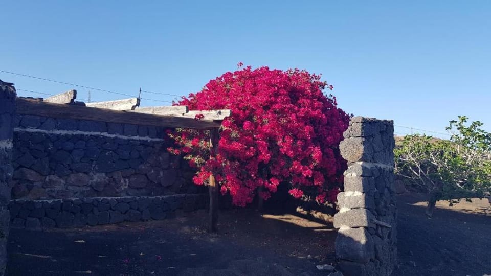 Sunset, Best Sunset View, Apto de Oasis Vasiliko, La Asomada Apartment in Isla de Lanzarote