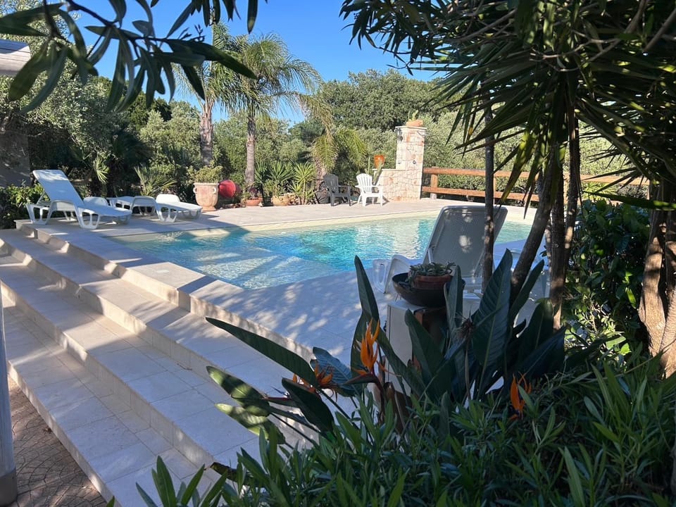 Spring, Day, Natural landscape, Garden, Garden view, Pool view, Swimming pool, sunbed