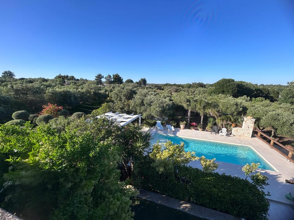 Spring, Day, Natural landscape, Pool view, Swimming pool, sunbed