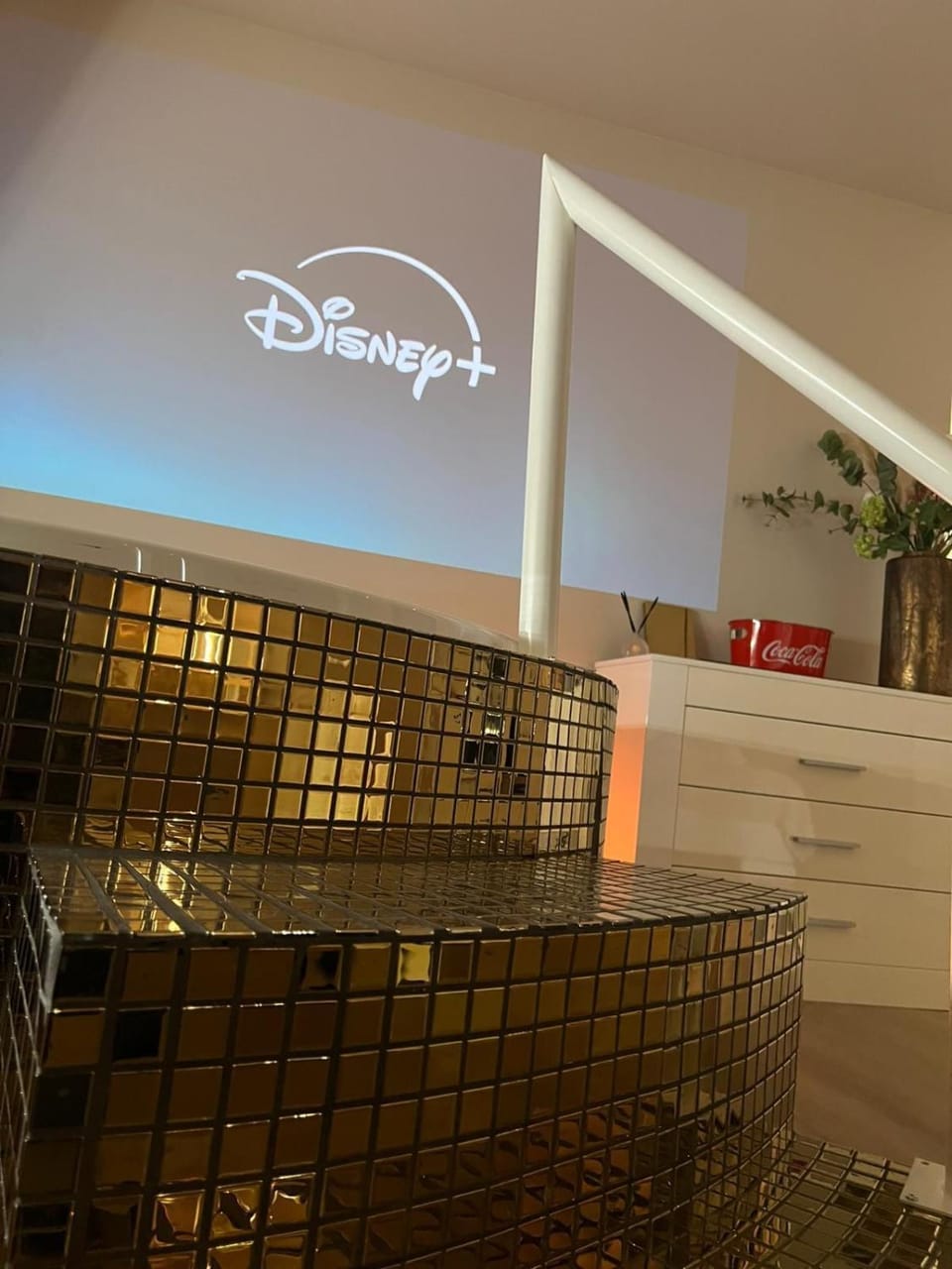 Hot Tub, TV and multimedia
