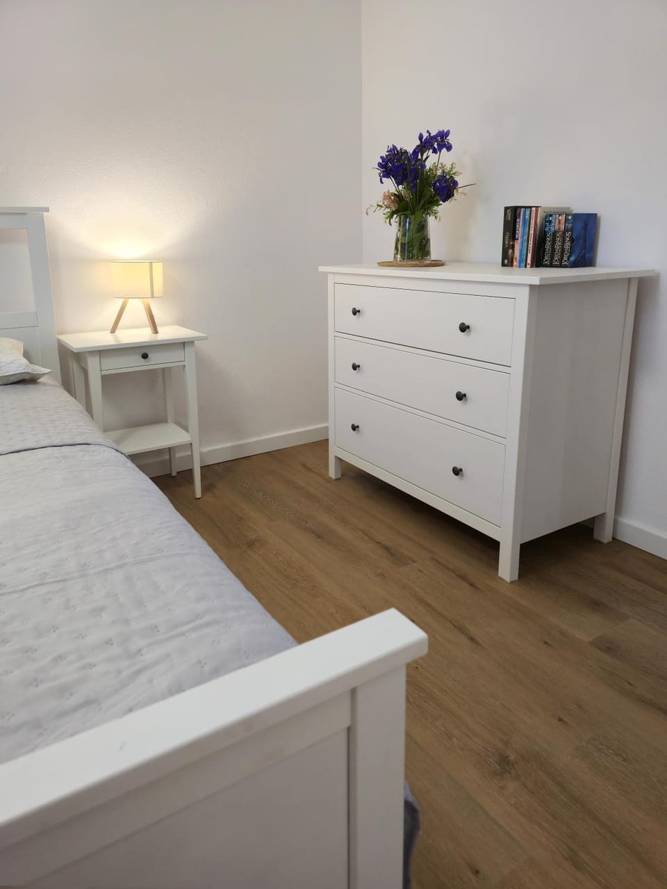 Apartament Sikorskiego 65 Apartment in Lithuania