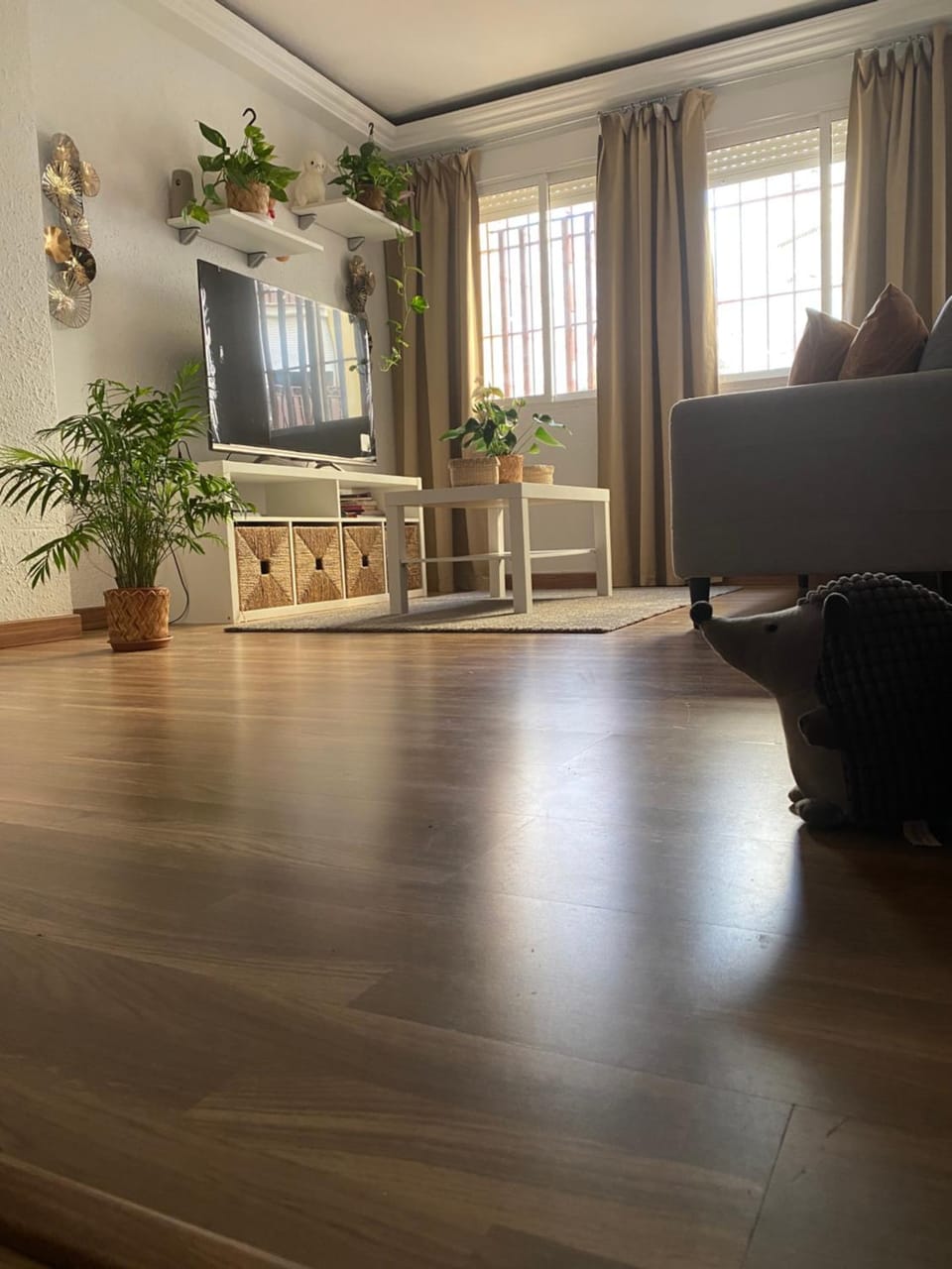 Communal lounge/ TV room, Living room