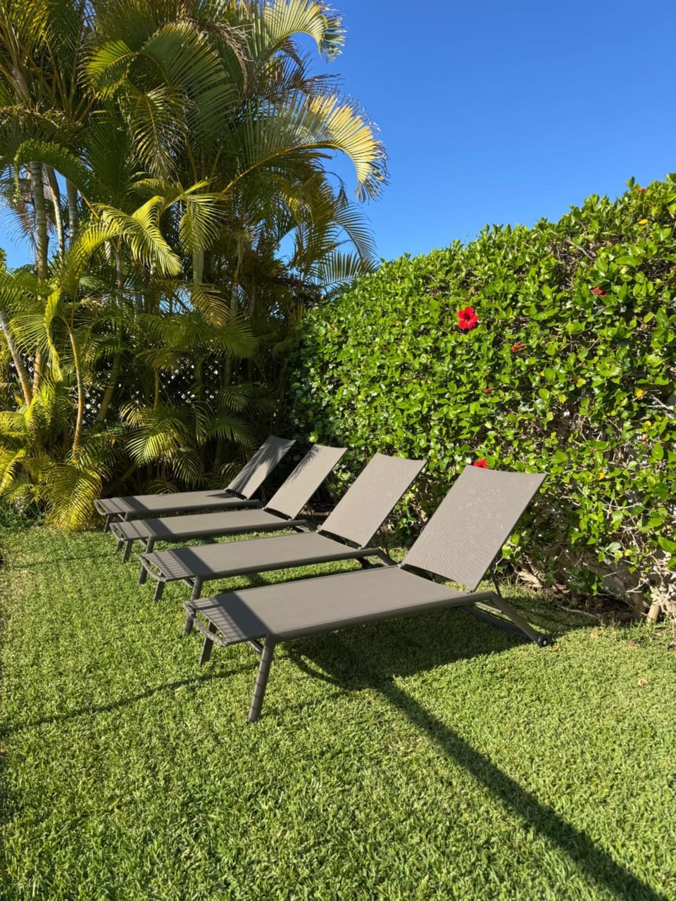 Garden, sunbed