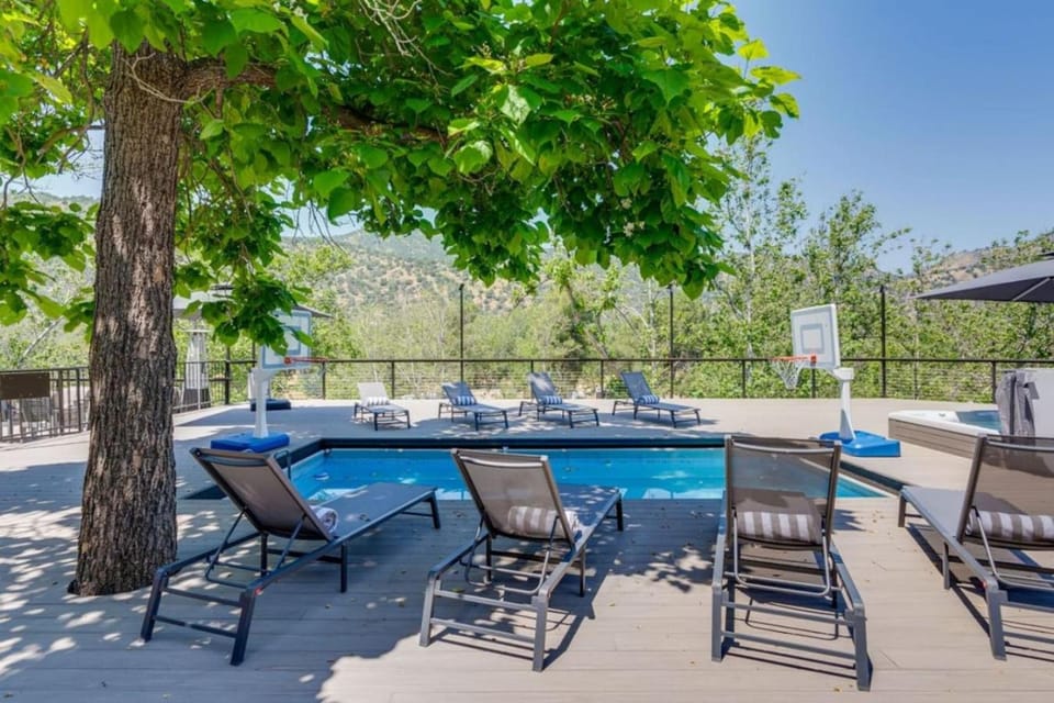 Patio, Day, Swimming pool, sunbed