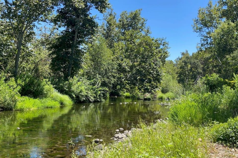 River view