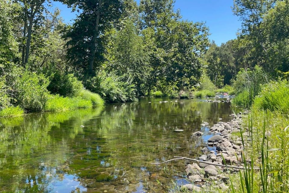 Day, Natural landscape, River view
