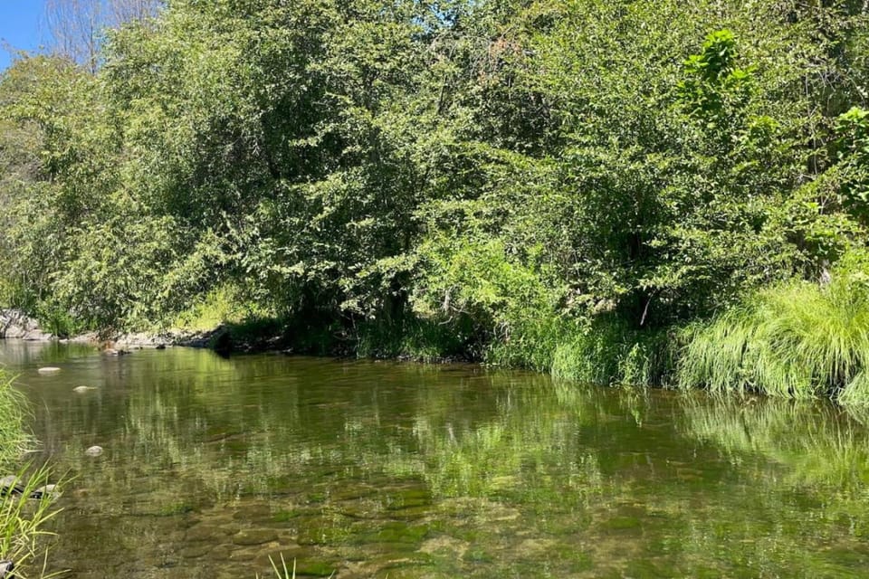 Natural landscape, River view