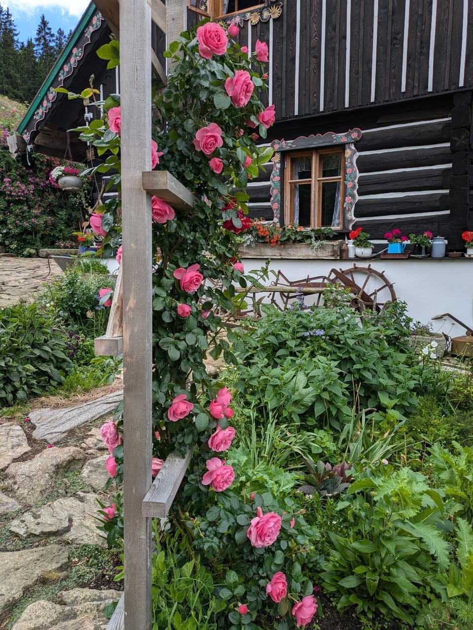 Roubenka na Šumavě Bed and Breakfast in South Bohemian Region