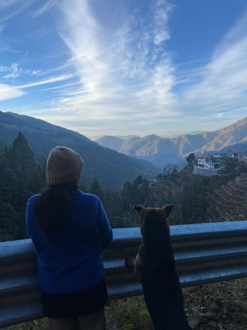People, Natural landscape, Pets