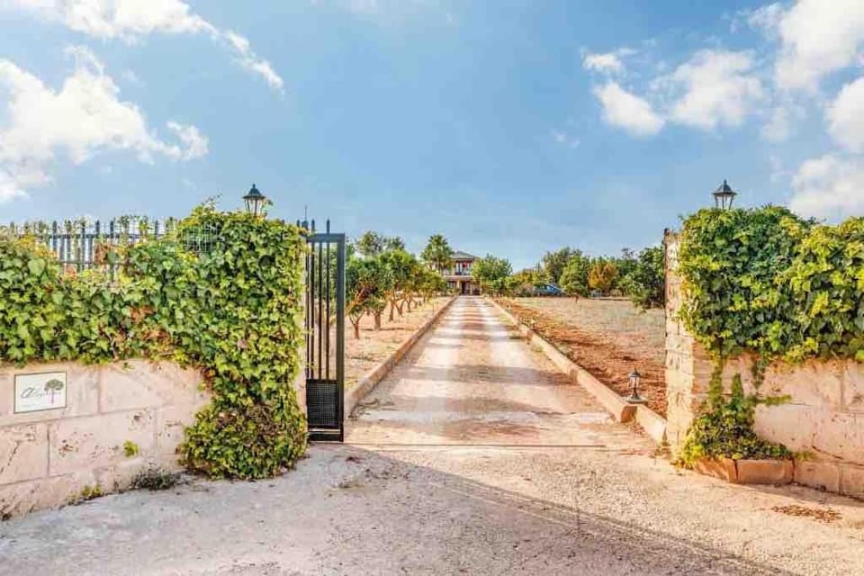 Alegrias super nice villa just 7km to downtown Villa in Raiguer
