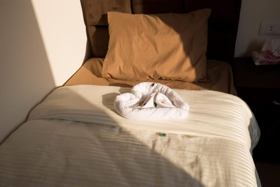 Bed, Photo of the whole room, towels