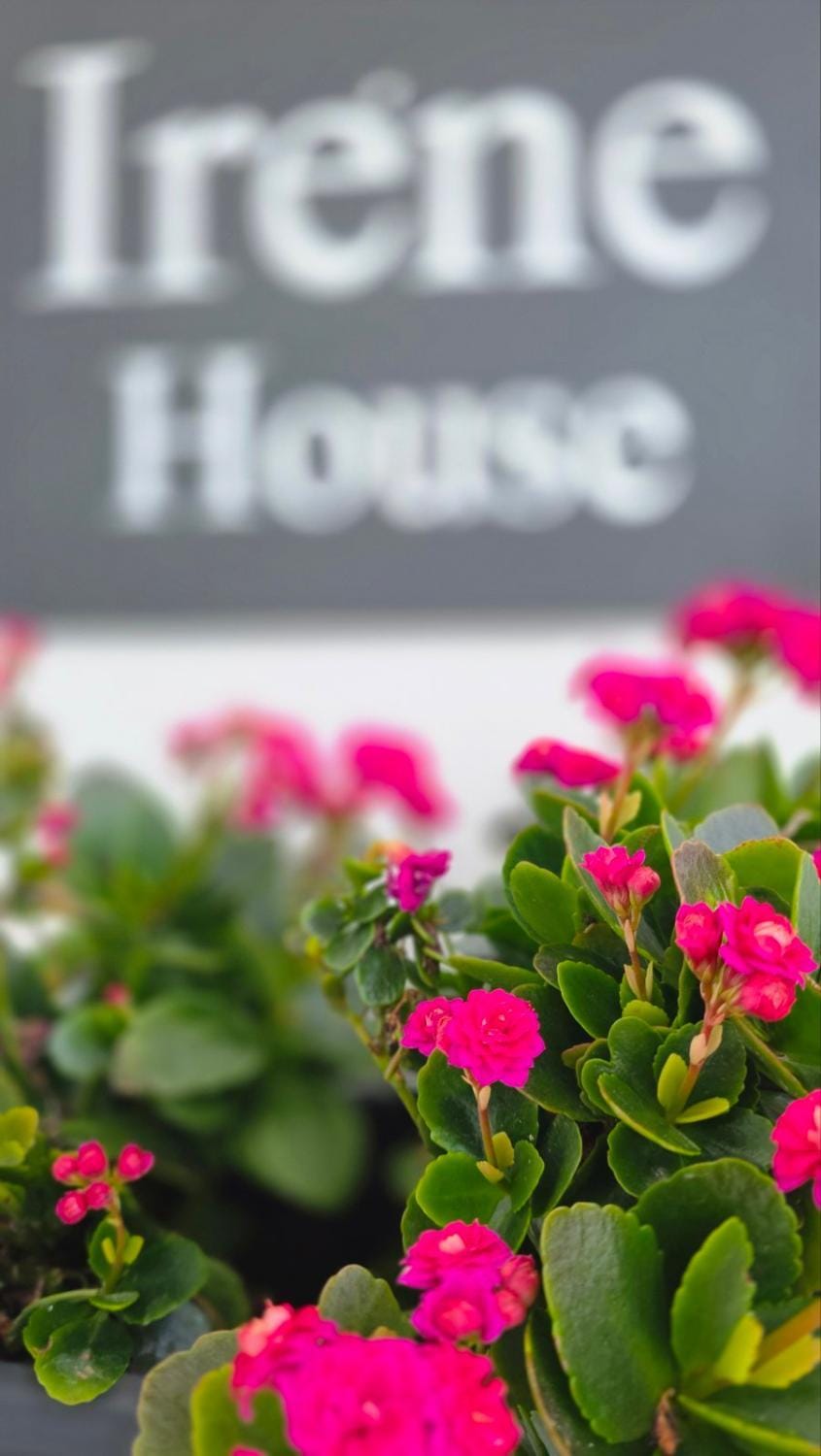 Irène House Apartment in Argolis, Greece