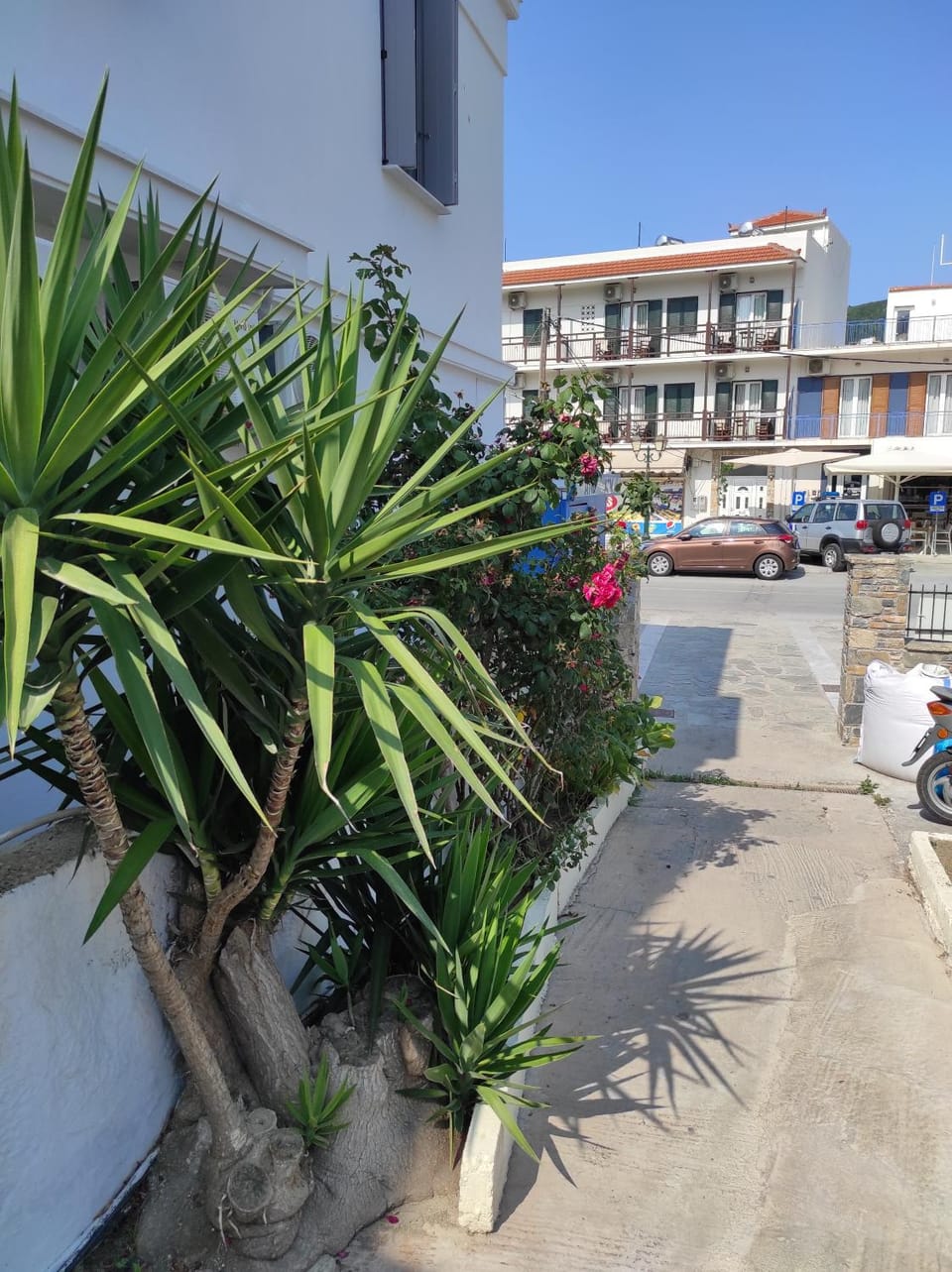 Easy to find Apartment in Skopelos