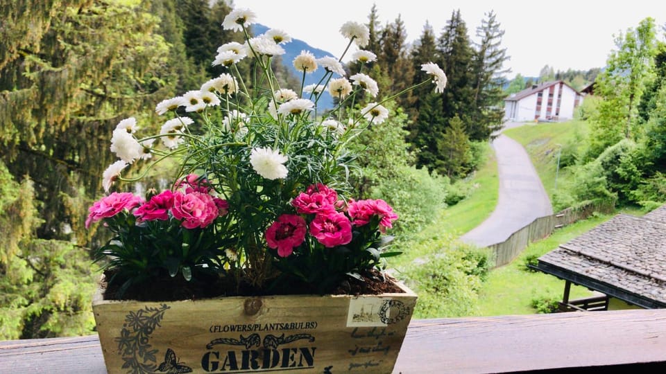 Garden, Garden view, Mountain view