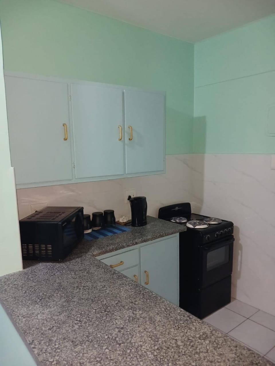 Kitchen or kitchenette, kitchen