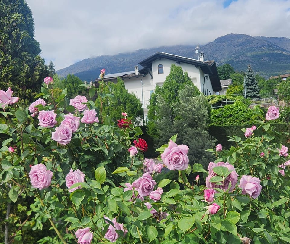 La Mèison de la Louye Apartment in Aosta