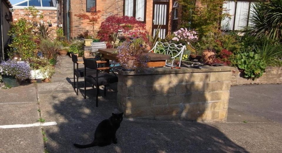 Hylands Hotel Single Room with Shared Bathroom & Free Parking Bed and Breakfast in Nottingham