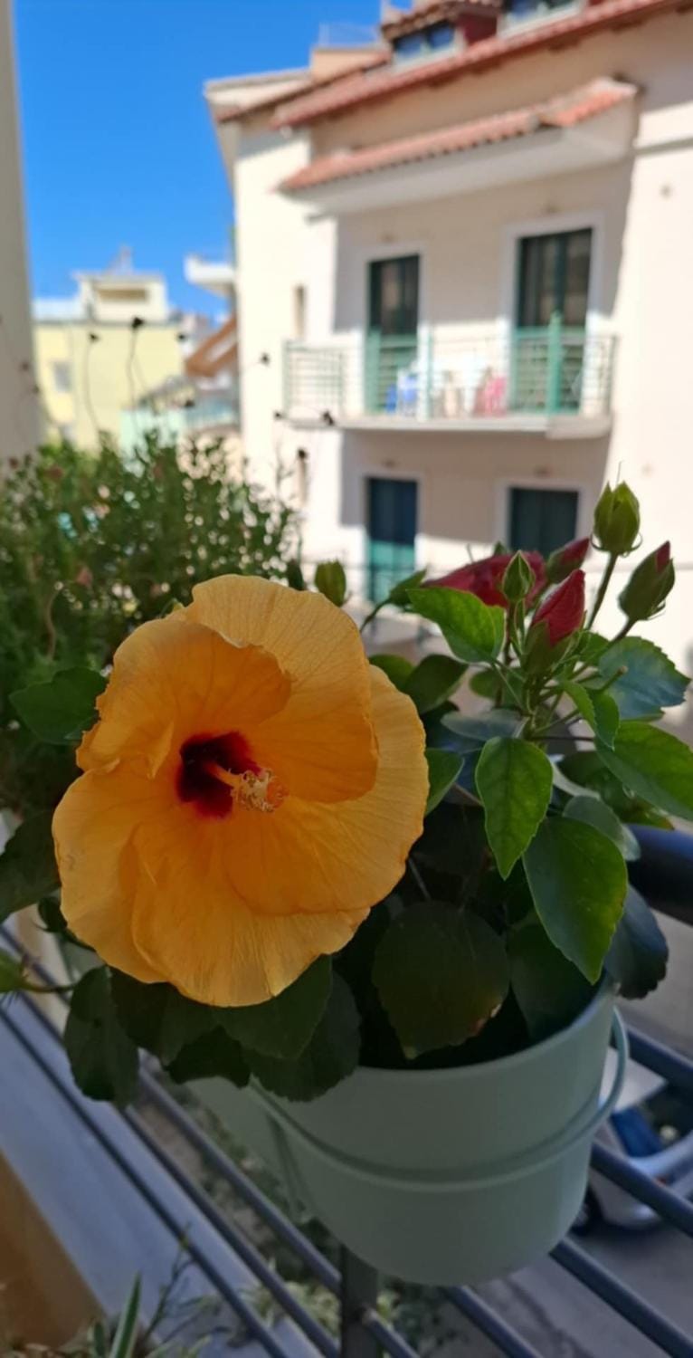 Nobel One Apartment in Peloponnese, Western Greece and the Ionian