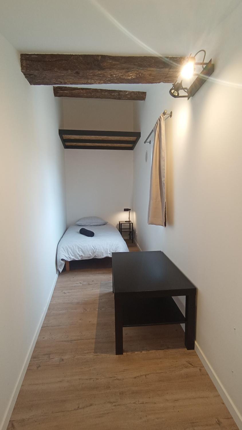 Iris, 4 personnes, centre pieton Ecusson, Tram, 3ème étage sans ascenseur Apartment in Montpellier